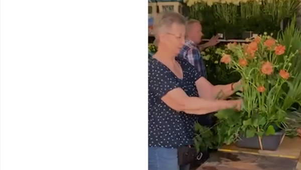 Osterblumen vom hl. Titus Brandsma